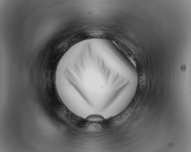 X0000099460572200805301537