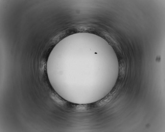 X0000099460574200805301537