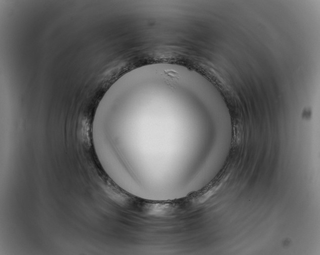 X0000099460575200805301537