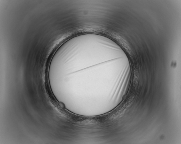 X0000099460578200805301536