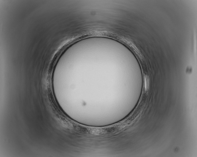 X0000099460579200805301536