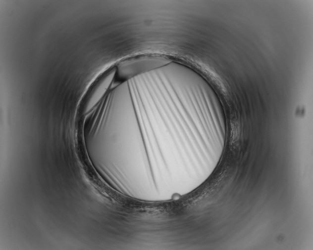 X0000099460580200805301536