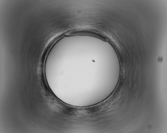 X0000099460583200805301536