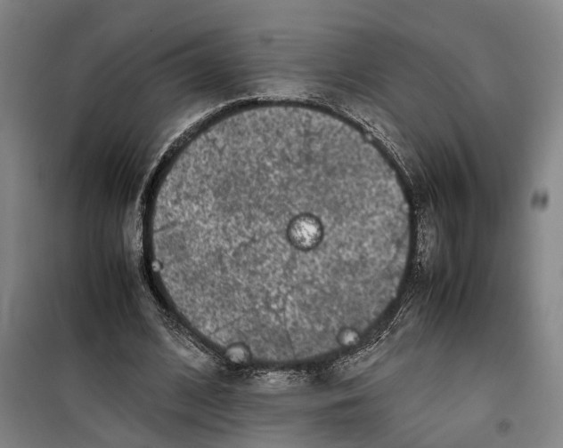 X0000099460584200805301536