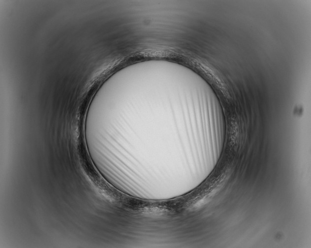 X0000099460586200805301536