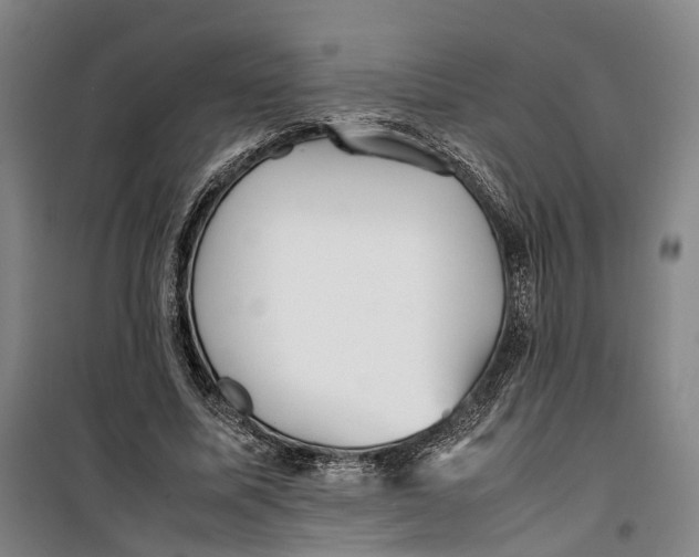 X0000099460587200805301536