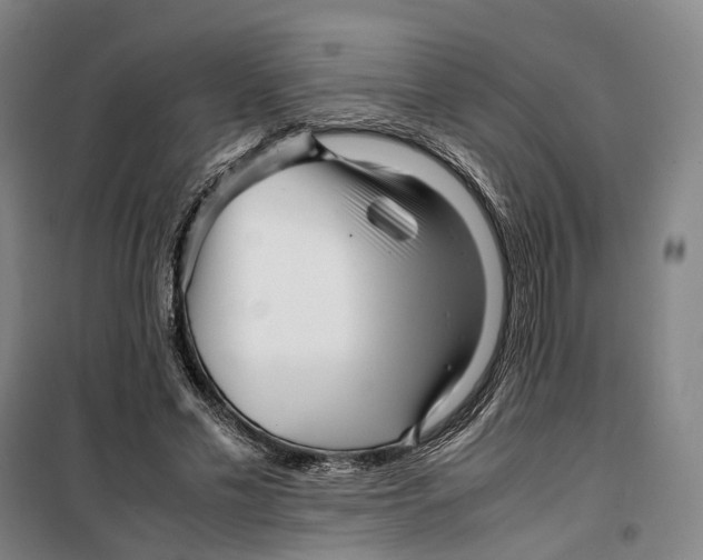 X0000099460589200805301536