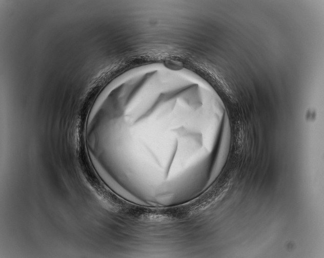 X0000099460590200805301536