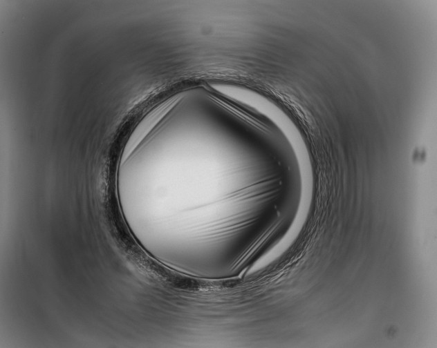 X0000099460591200805301536