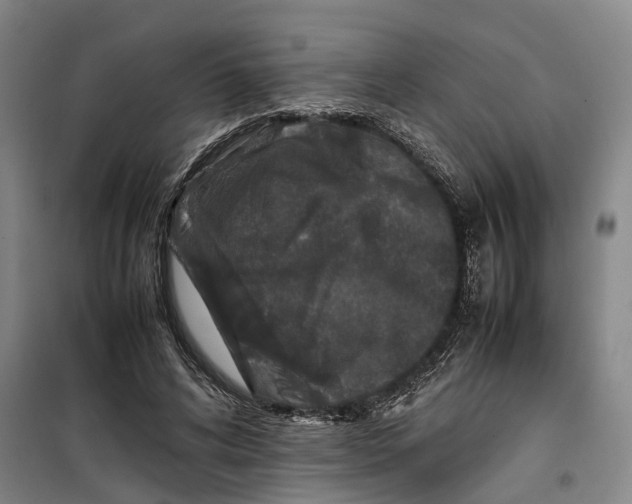 X0000099460592200805301536