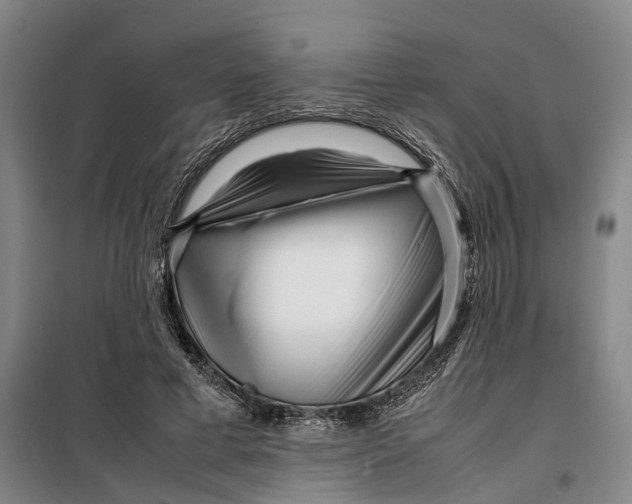 X0000099460593200805301536