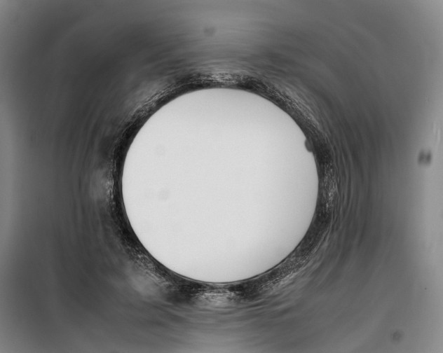 X0000099460595200805301536