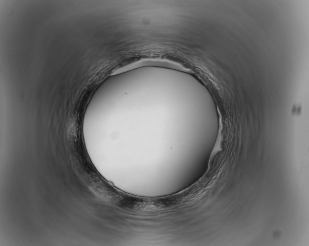 X0000099460597200805301536