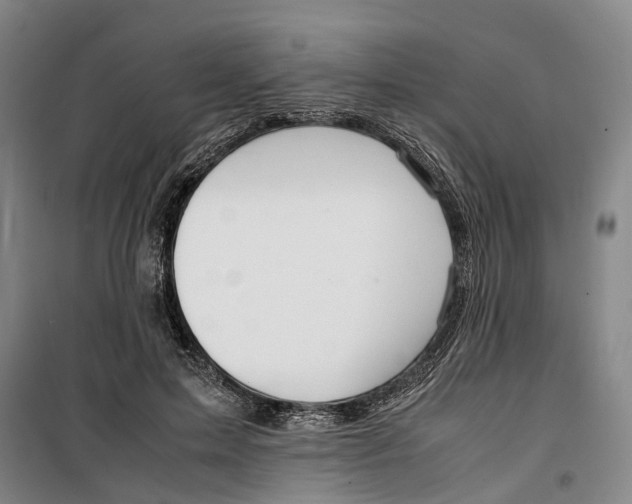 X0000099460599200805301536