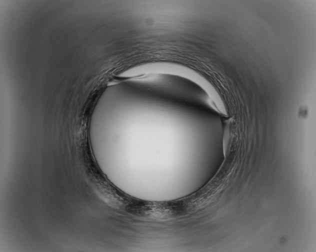 X0000099460601200805301536