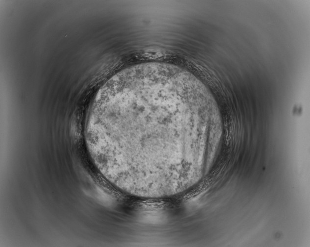 X0000099460606200805301536