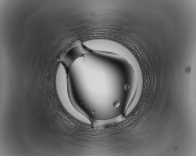 X0000099460609200805301536