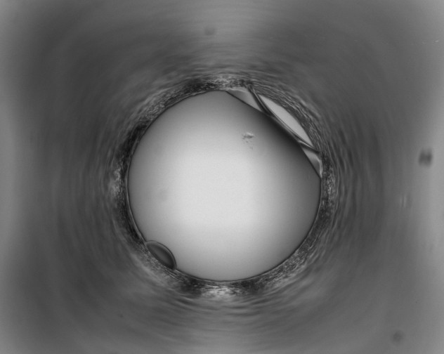 X0000099460611200805301536