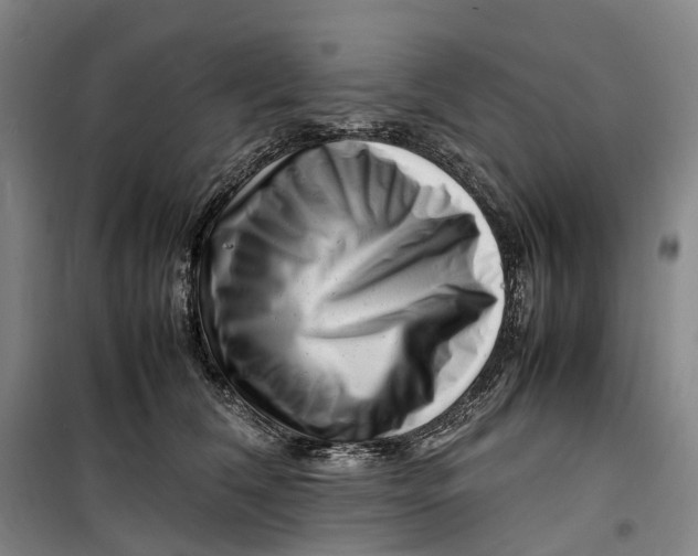 X0000099460612200805301536