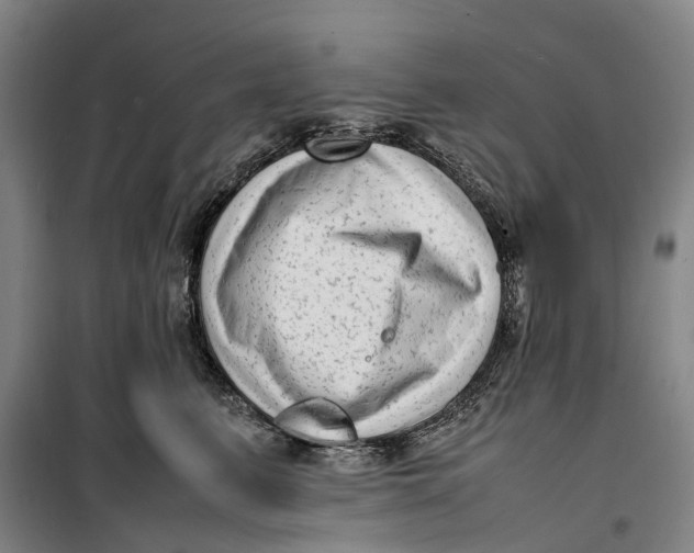 X0000099460615200805301536