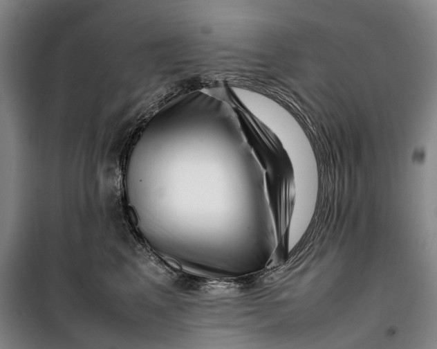 X0000099460617200805301536