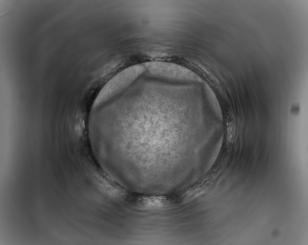 X0000099460618200805301536