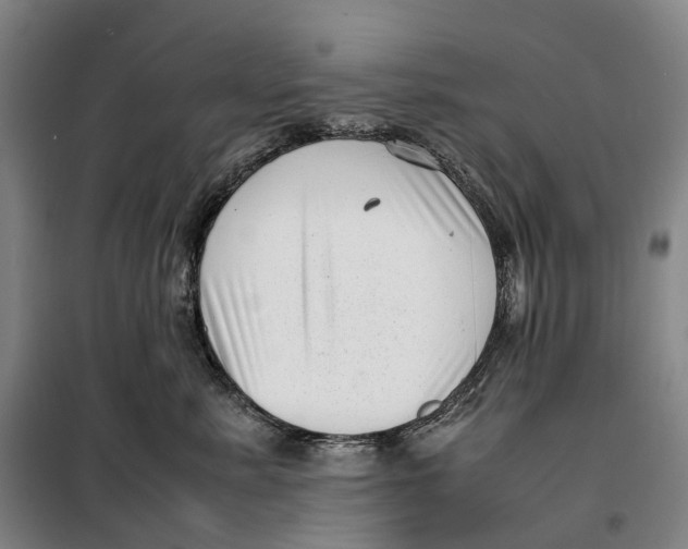 X0000099460619200805301536