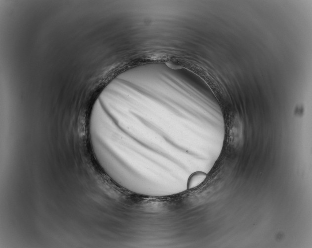 X0000099460620200805301536