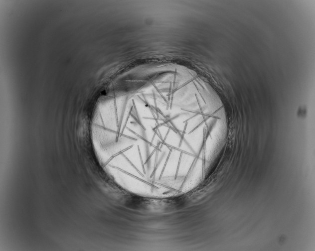 X0000099460623200805301535