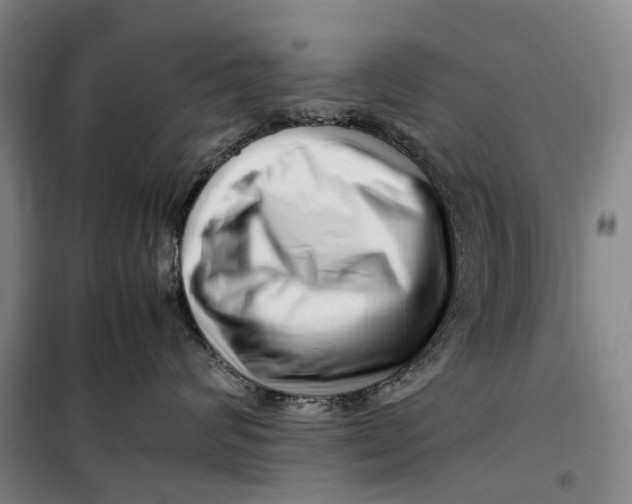 X0000099460624200805301535