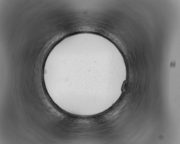 X0000099460625200805301535