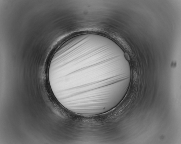 X0000099460628200805301535