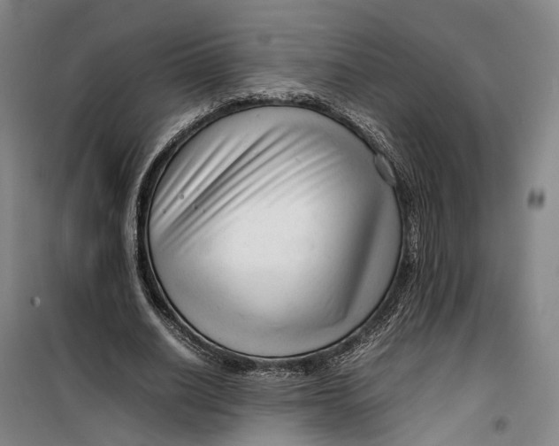 X0000099460630200805301535