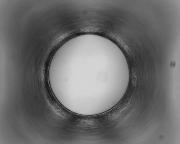 X0000099460631200805301535