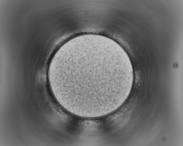 X0000099460632200805301535