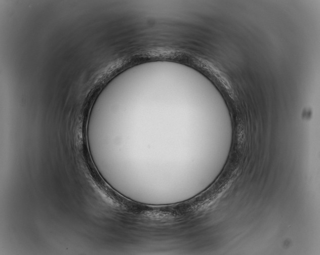 X0000099460633200805301535