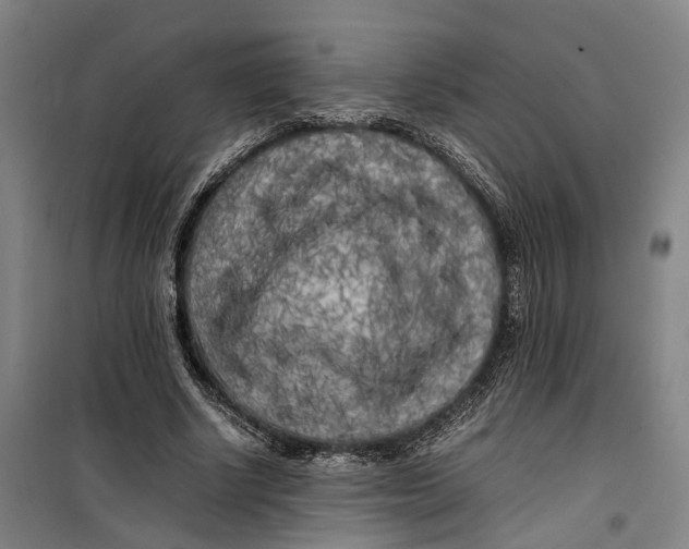 X0000099460634200805301535