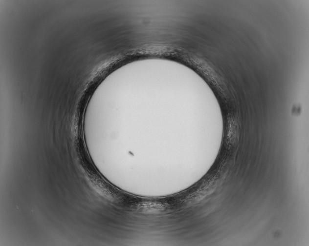 X0000099460636200805301535