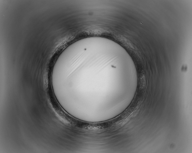 X0000099460638200805301535