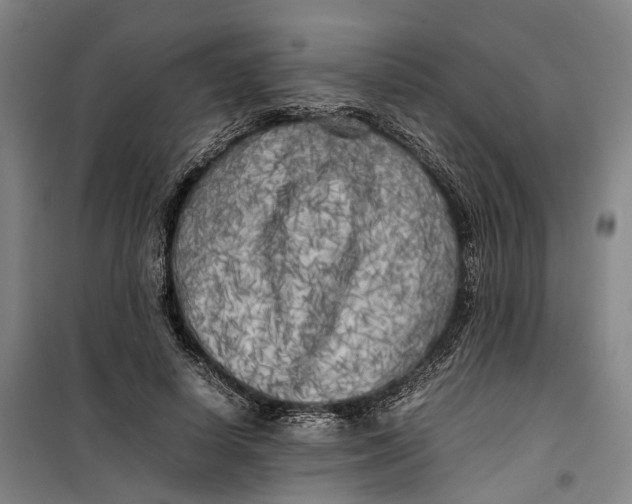 X0000099460642200805301535