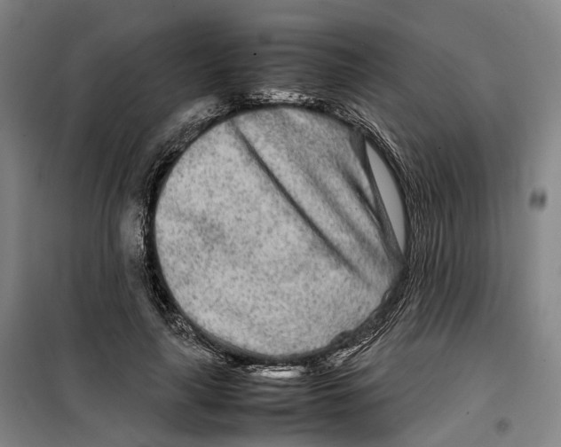 X0000099460643200805301535