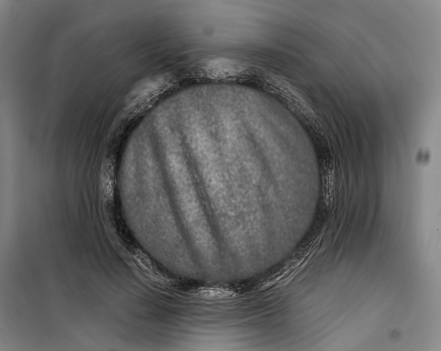 X0000099460644200805301535