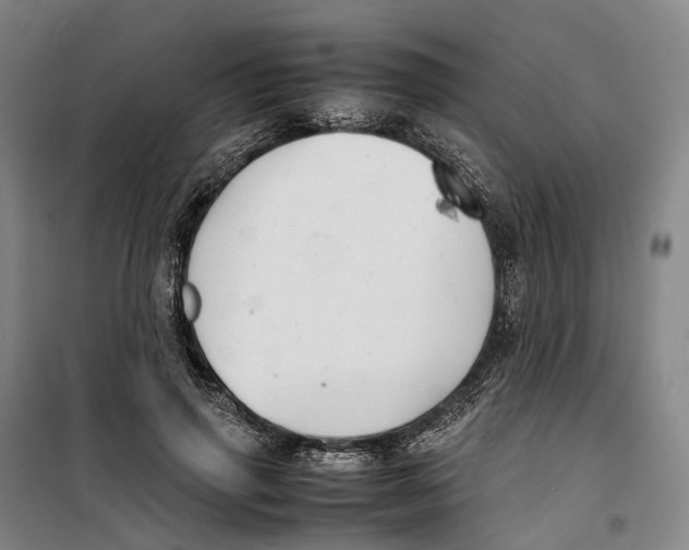 X0000099460645200805301535