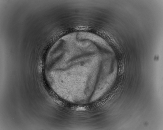 X0000099460647200805301535