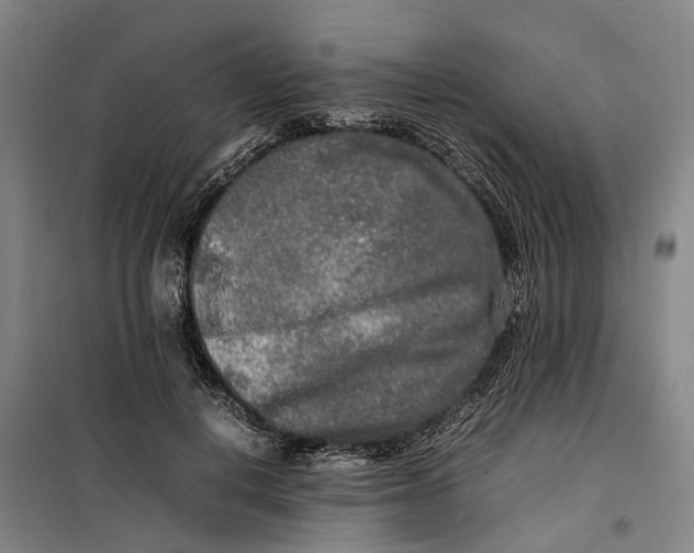 X0000099460648200805301535