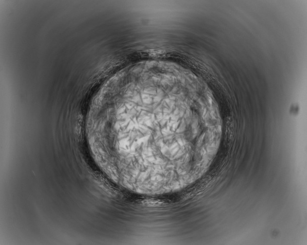 X0000099460650200805301535