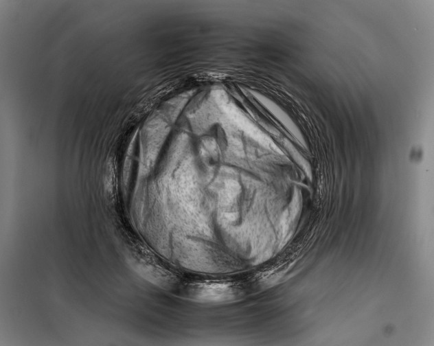 X0000099460651200805301535