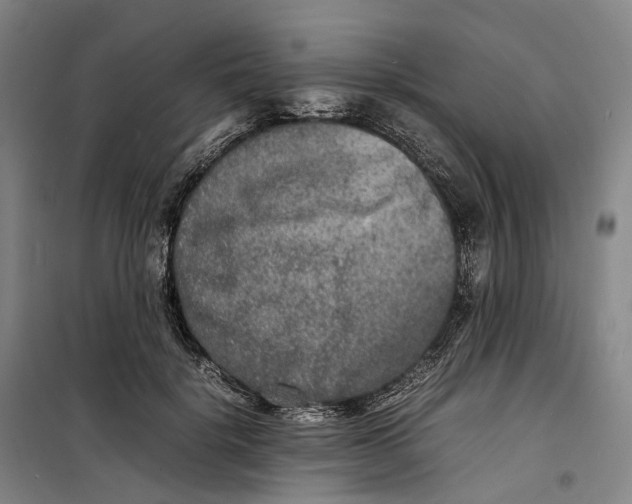 X0000099460652200805301535