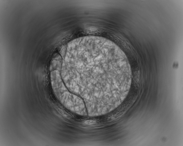 X0000099460653200805301535