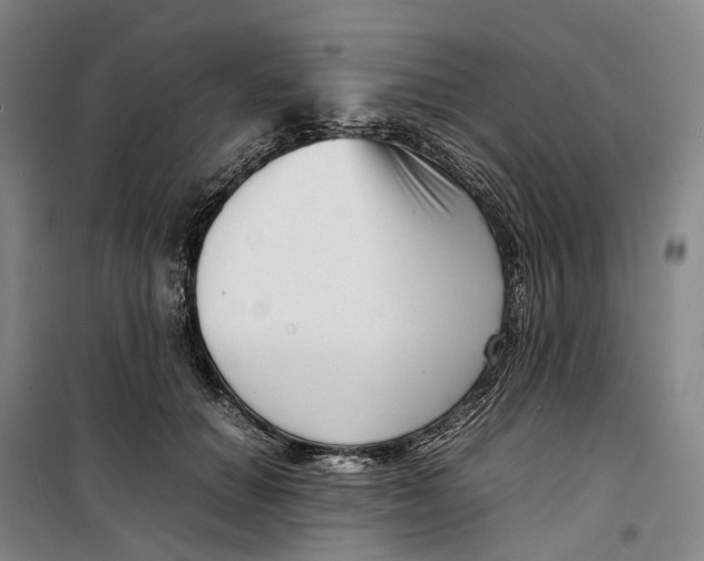 X0000099460654200805301535